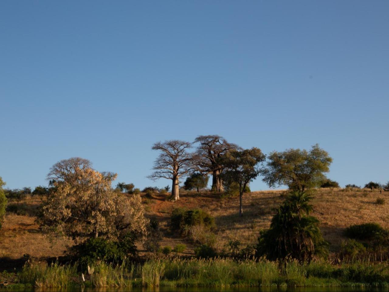 Kayova River Lodge Ndiyona Eksteriør bilde