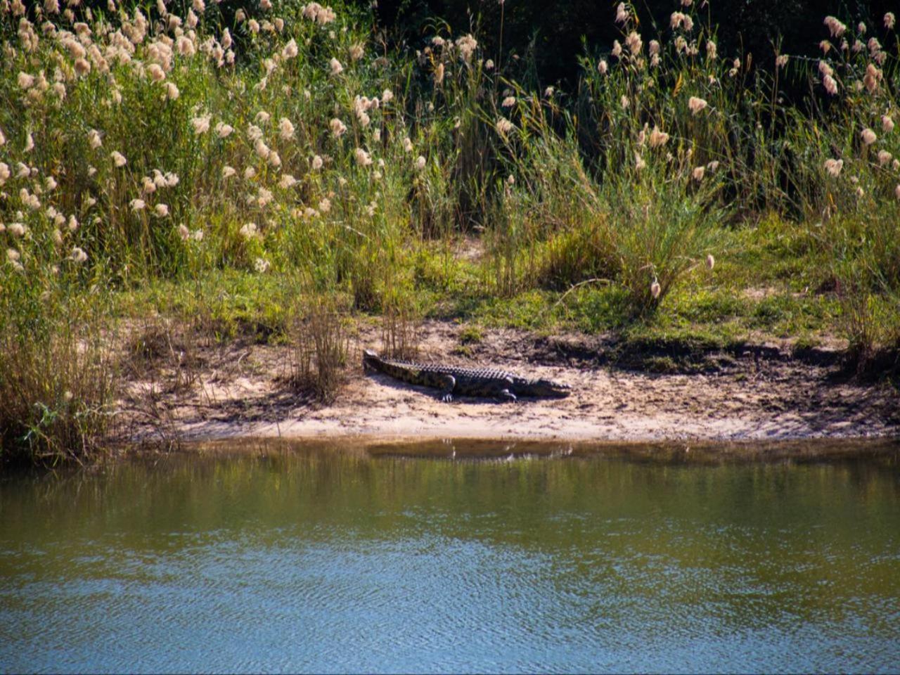 Kayova River Lodge Ndiyona Eksteriør bilde